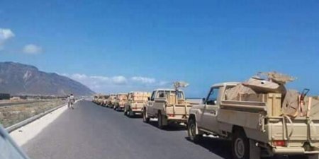 عين اليمن الاخبارية مباشر الأمارات ترسل دعم عسكري كبير للجيش في سقطرى وترفض ارسال اي دعم الى تعز