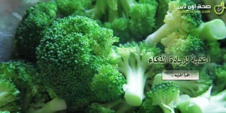 اليمن الان عاجل اخبار اليمن 6 وجبات تجعلك أكثر ذكاء