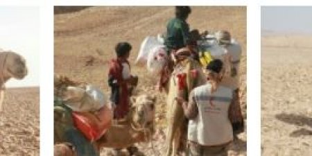 اخبار اليمن اليوم الجمعة فريق الهلال الأحمر الإماراتي يستخدم الجمال لإيصال المساعدات إلى الساكنين في المناطق النائية