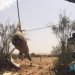 بالصور.. إنقاذ «جمل» سقط في خزان أرضي بالمزاحمية