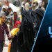 مراقبون برس الان تحليل لقناة روسية عن عوائق السلام في اليمن